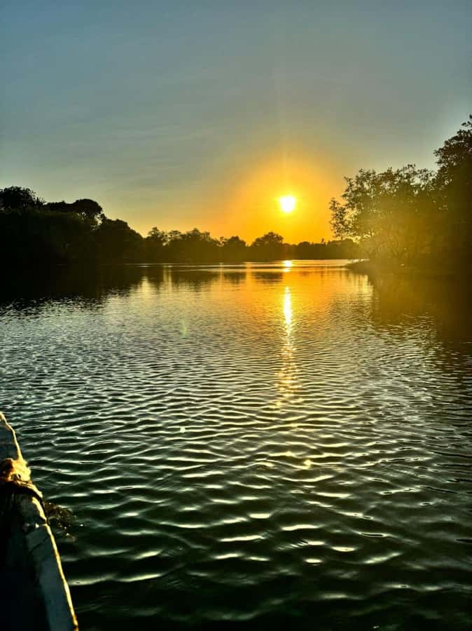 mangrove tour - Key points to know before you book