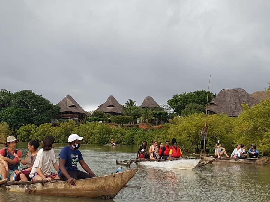 mangrove tour - Upstream through the mangroves