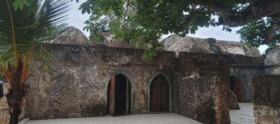 mangrove tour - Small details that can affect the experience