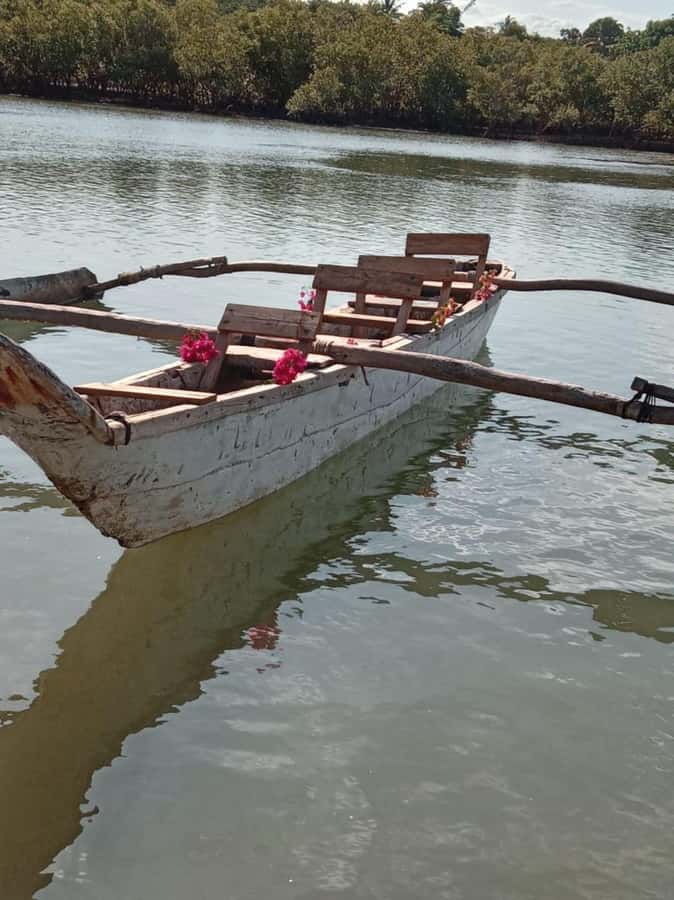 mangrove tour - Who will enjoy the Kongo River most