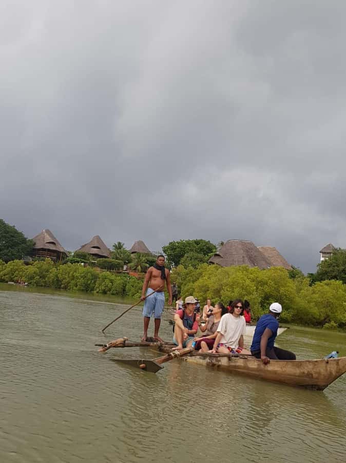 mangrove tour - Booking advice and final verdict