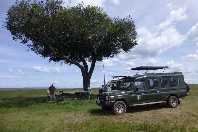 Masai Mara 3 Day Safari | Private 4WD Jeep Tour - Day 2: A full day among the Mara’s animals