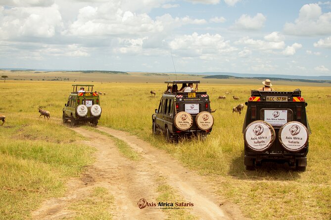 Masai Mara 3 Days Tour Safari Private 4WD Landcruiser - What the private Landcruiser changes
