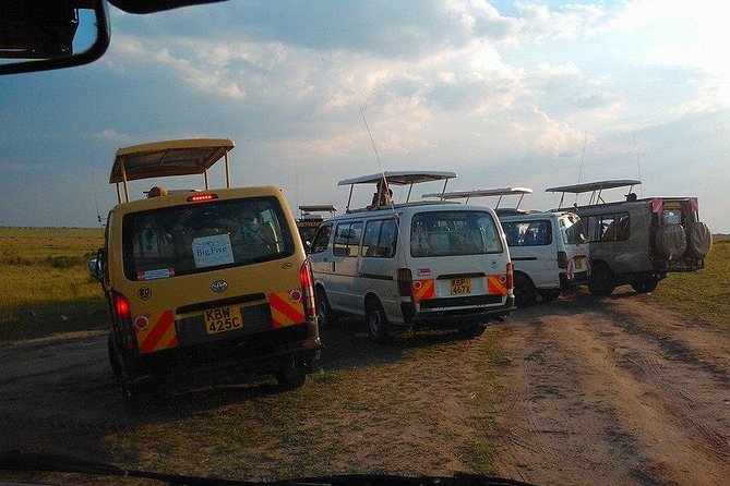 Masai Mara Budget 2 nights tented camp road Safari - The private format and the role of your driver