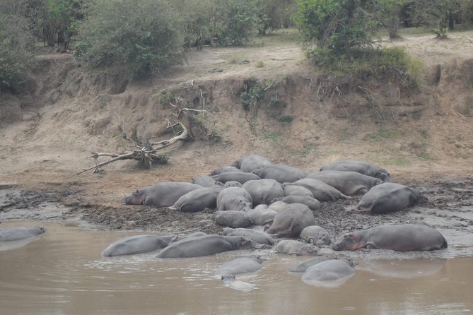 Masai Mara Budget 2 nights tented camp road Safari - Who will enjoy this safari most