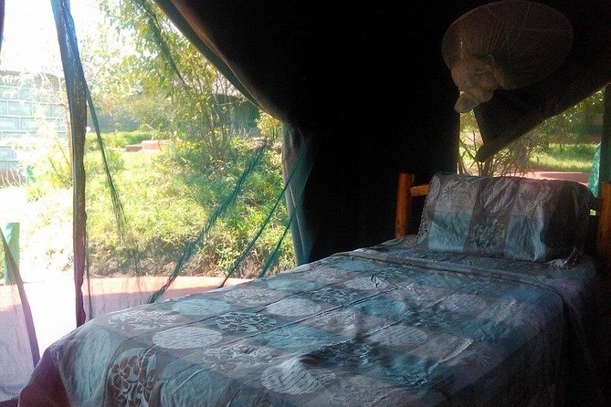 Masai Mara Budget 2 nights tented camp road Safari - Two nights in a budget tented camp