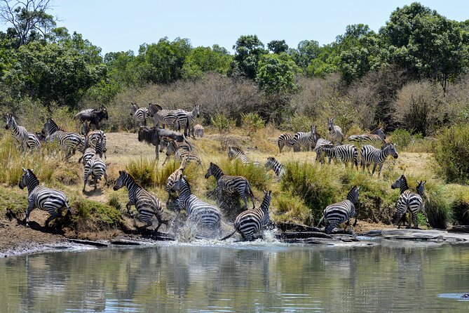 Masai Mara classic safari with optional Masai Village - Why the Maasai Mara earns three days