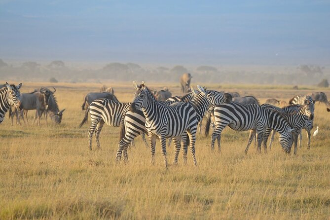 Masai Mara classic safari with optional Masai Village - The $450 hot-air balloon decision