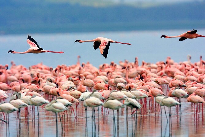 Masai Mara Game Drive - Practical clothing and equipment