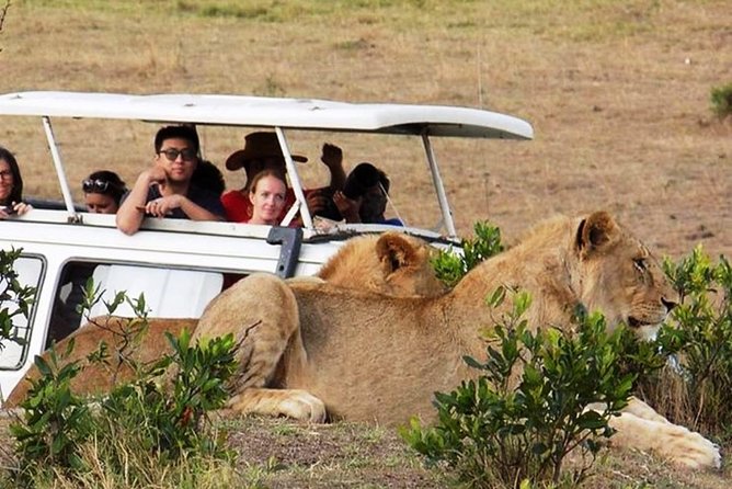 Masai Mara Game Reserve Safari Tour, 4 Days 3 Nights - The vehicle and private guide setup