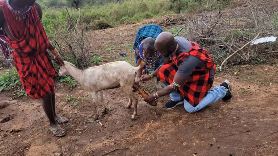 Masai Village Cultural Day Tour from Nairobi - What this Maasai day tour really offers