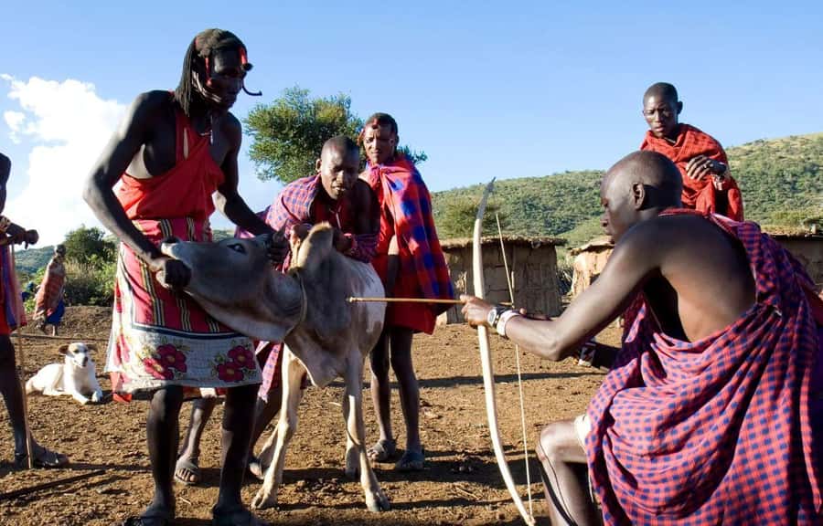 Masai Village Cultural Day Tour from Nairobi - Price, entry fees, and overall value