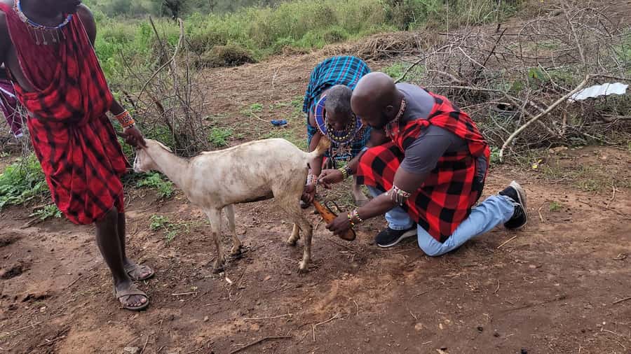 Masai Village Experience (Day trip) - The Nairobi pickup and the long road out