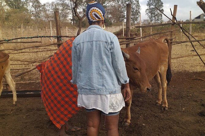 Masai village visit from Nairobi day tour - Who should book this experience