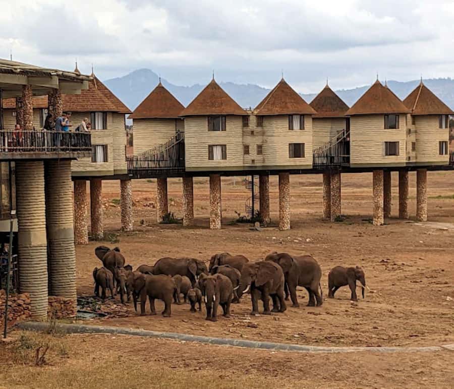 Mombasa: 2-Day Safari to Taita Hills Game Sanctuary - Key points to know before booking