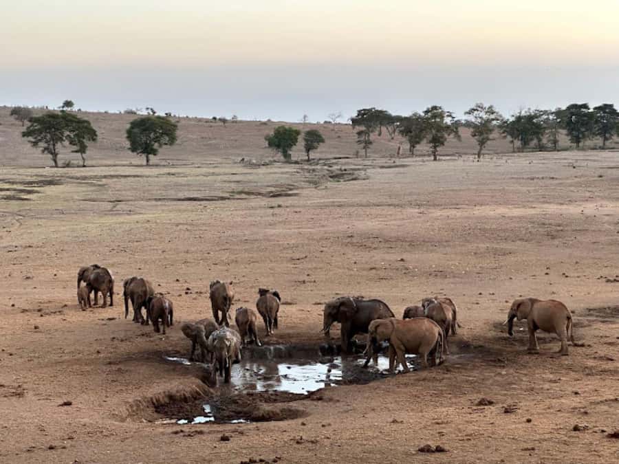 Mombasa: 2-Day Safari to Taita Hills Game Sanctuary - The practical side: vehicles, timing, and comfort