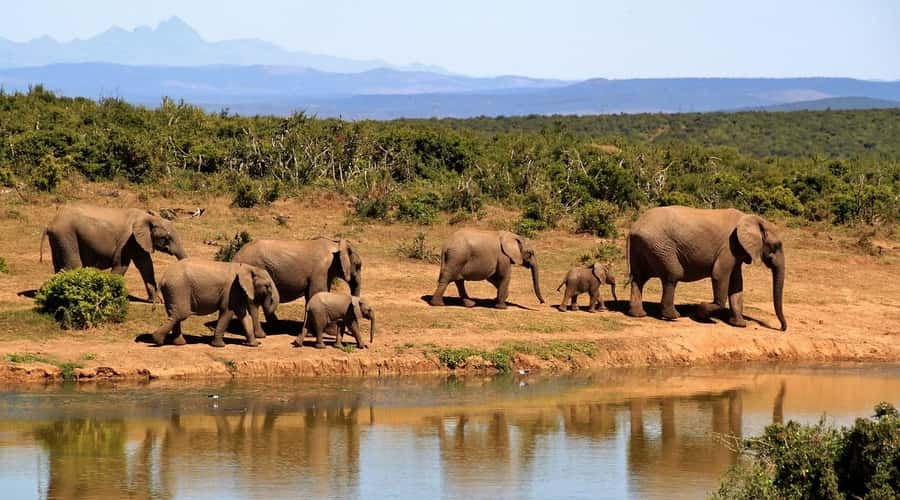Mombasa: 3-Days 2-Nights Tsavo East and West Private Safari. - Day 2: From volcanic Tsavo West to red-soil Tsavo East