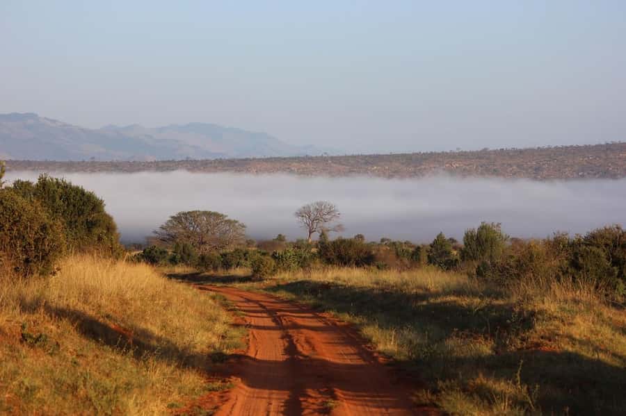 Mombasa: 3-Days 2-Nights Tsavo East and West Private Safari. - Mzima Springs and the best of Tsavo West