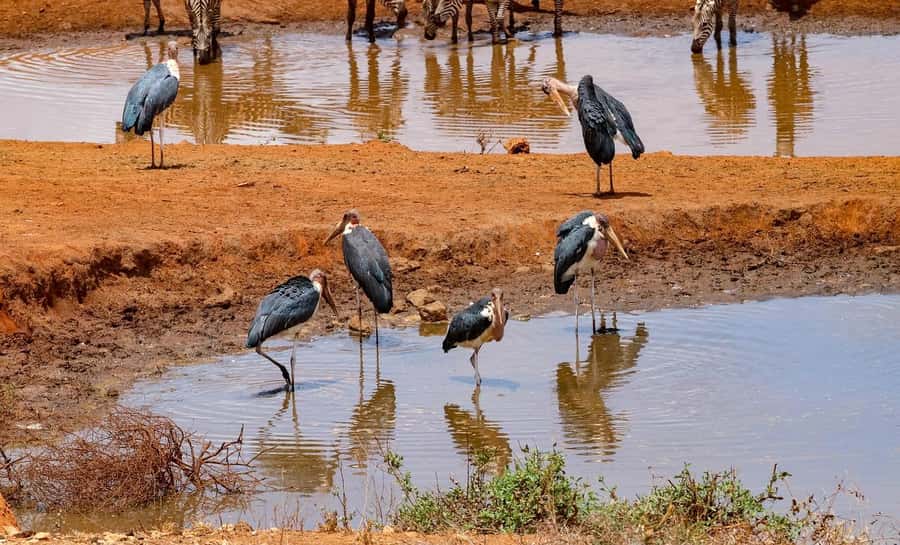Mombasa: 3-Days 2-Nights Tsavo East and West Private Safari. - What to pack for rough roads and bright sun