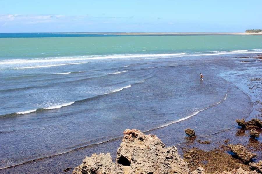 Mombasa: Discovery Day Tour and Haller Park - Lunch is flexible, and not included