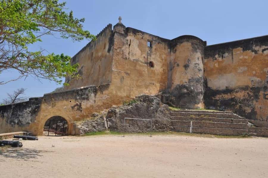 Mombasa: Discovery Day Tour and Haller Park - How the private format affects the day