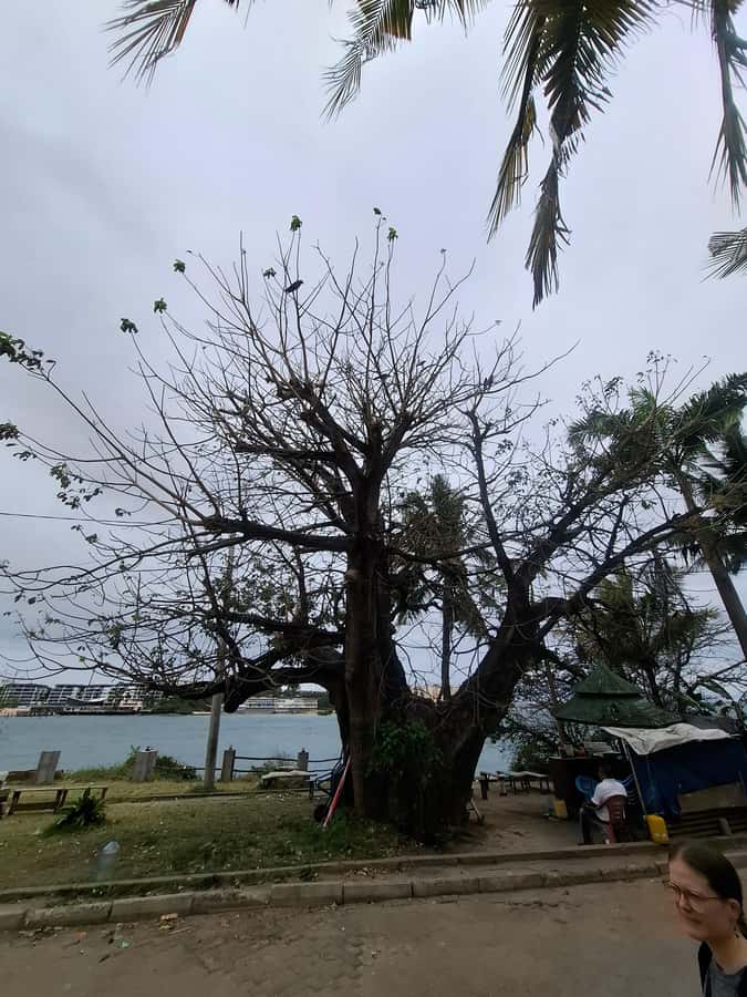 MOMBASA:FortJesus,OldTown,SpiceMarket, Shiva Temple DayTour. - Final verdict: a strong first look at Mombasa
