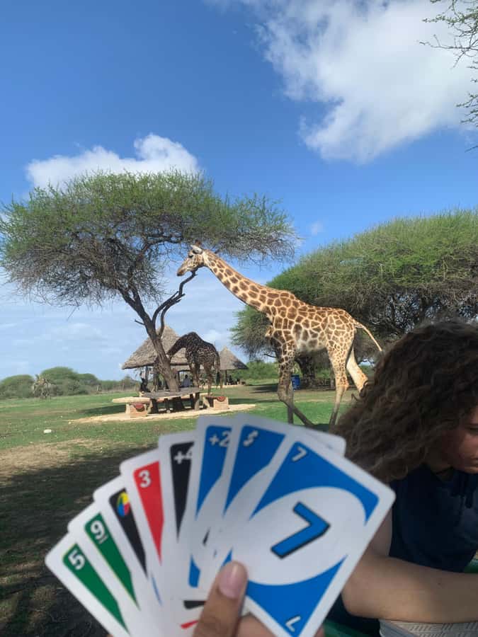 Mombasa: Guided Nature Walk Amongst Giraffes - Getting ready for the sanctuary
