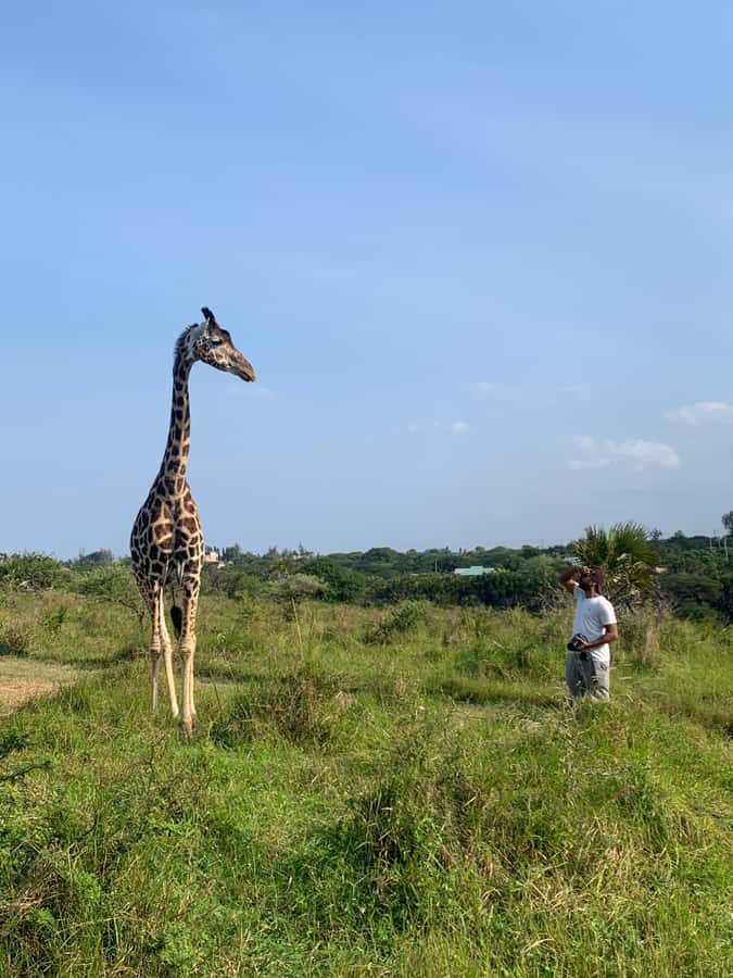 Mombasa: Guided Nature Walk Amongst Giraffes - Who will enjoy this experience most?