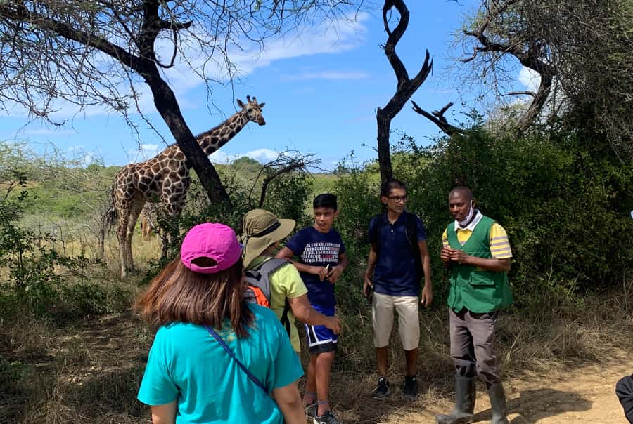 Mombasa: Guided Nature Walk Amongst Giraffes - Booking, cancellation, and practical details