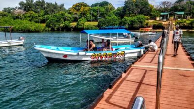 Mombasa: Kisite Park Private Cruise with Breakfast and Lunch