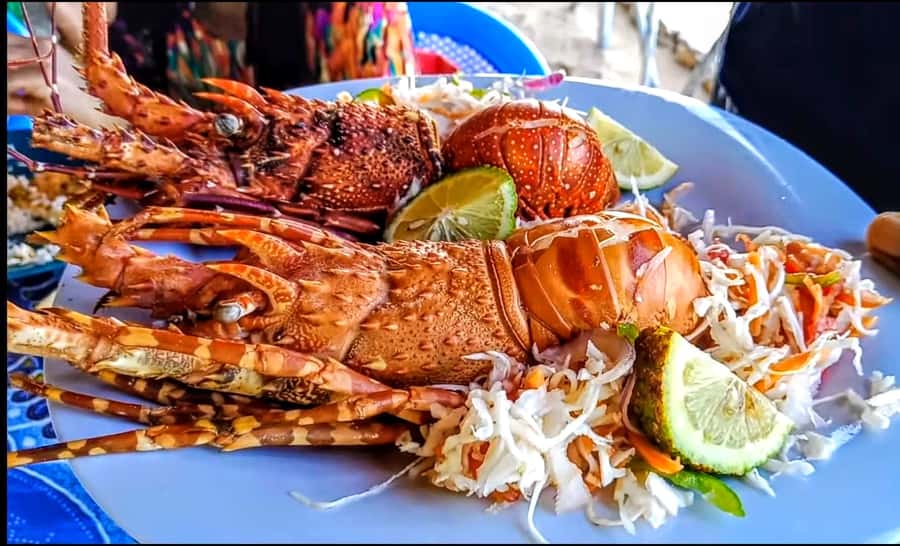 Mombasa: Kisite Park Private Cruise with Breakfast and Lunch - Kisite Marine Park from the water