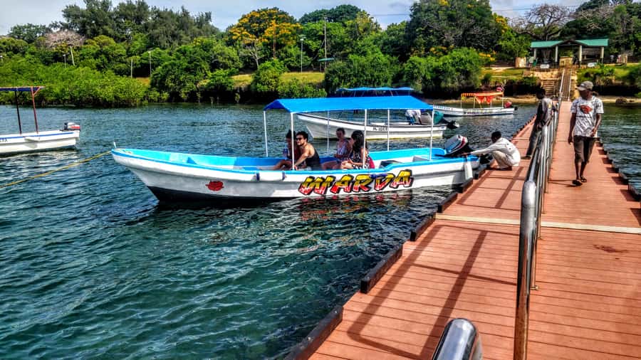 Mombasa: Kisite Park Private Cruise with Breakfast and Lunch - The early road from Mombasa or Diani