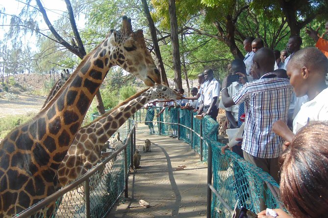 Mombasa Private City Tour & Haller park Sanctuary with sea food luch - From Portuguese fort to rescued quarry