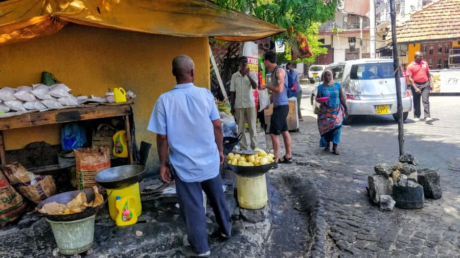 Mombasa: Private City Tour with Fort Jesus & Haller Park - Guides, vehicles, and private touring