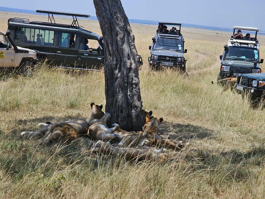 Mombasa: Tsavo East National Park Day Trip with Lunch - The Yatta Plateau and the Galana River