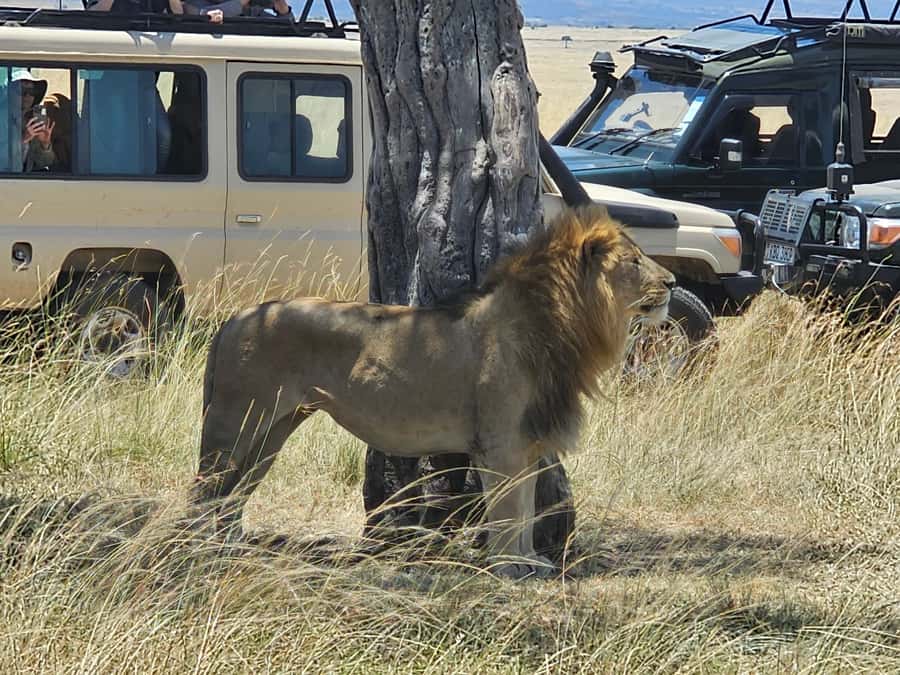 Mombasa: Tsavo East National Park Day Trip with Lunch - Who will enjoy this trip most