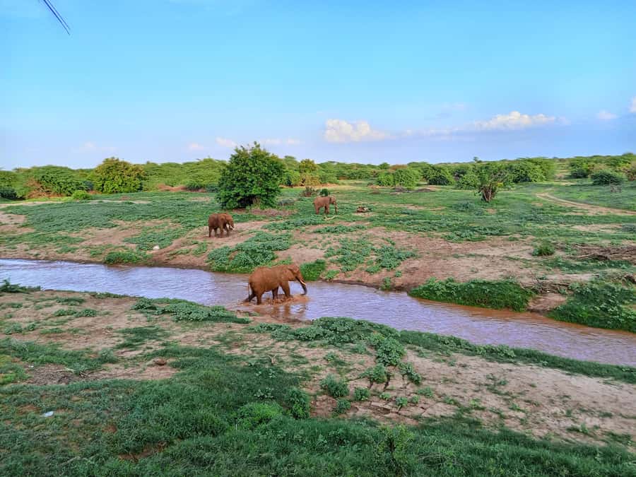 Mombasa: Tsavo East Ngutuni Sanctuary Overnight Safari - The four-hour transfer to Ngutuni