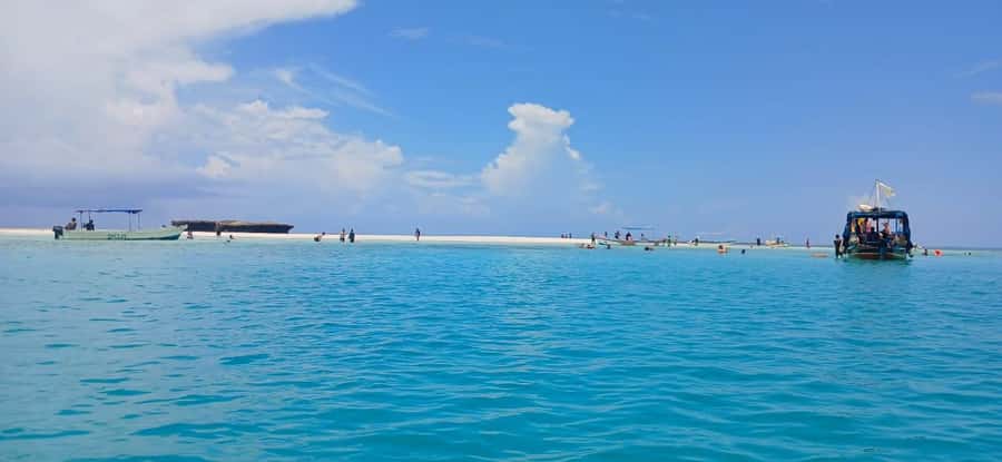 Mombasa: Wasini Dolphin Tour - Key things to know before you go
