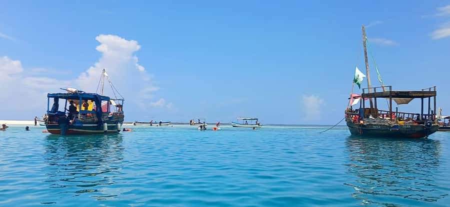 Mombasa: Wasini Dolphin Tour - From Mombasa or Diani to Shimoni Jetty