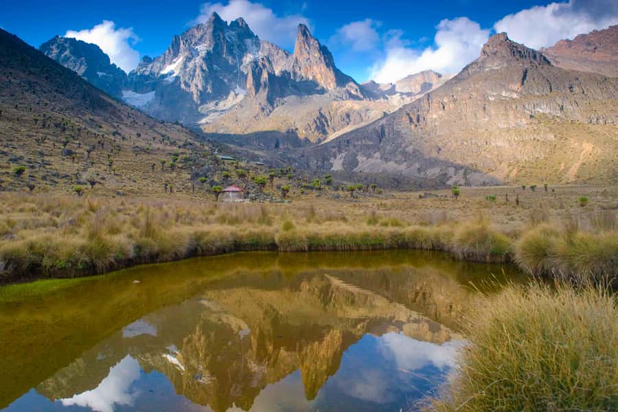 Mt Kenya: Full-day hiking tour from Nairobi - Siri Moni Gate and the first hours on foot