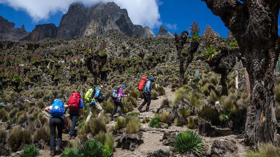 Mt Kenya: Full-day hiking tour from Nairobi - The Meteorological Station and high views