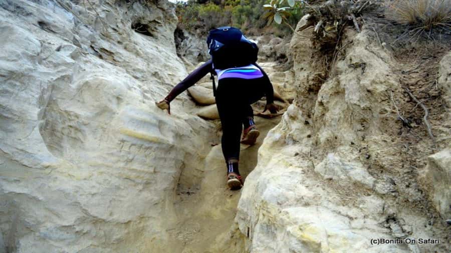 Mt Longonot National park Day Hike - Guides who make the private format worthwhile