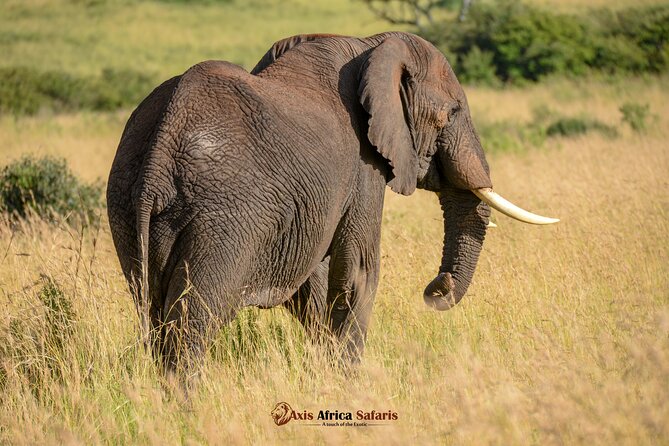 Multi Day Masai Mara Lake Nakuru Park Hellsgate Park Tour - Guides make the difference