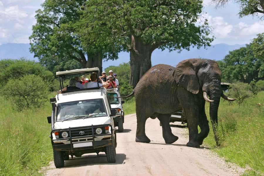 Nairobi: 3-Day Maasai Mara Group Tour with 4X4 Jeep Safari - Day one: Great Valley views, lunch, and a first game drive