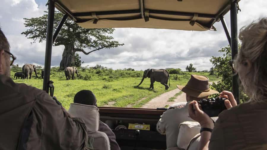 Nairobi: 3-Day Maasai Mara Group Tour with 4X4 Jeep Safari - Day three: Leaving the reserve for Nairobi