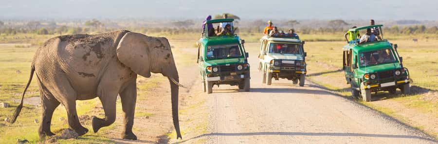 Nairobi: 3-Day Maasai Mara Group Tour with 4X4 Jeep Safari - What the 4x4 setup means for you