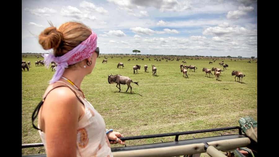 Nairobi: 3-Day Maasai Mara Group Tour with 4X4 Jeep Safari - Who will enjoy this safari most