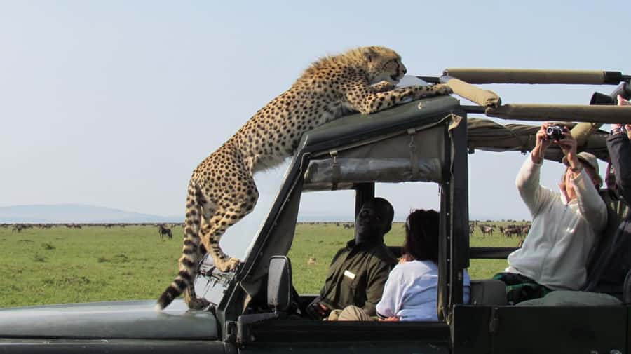 Nairobi: 4-Day Maasai Mara & Lake Nakuru Camping Safari - The long transfer to Lake Nakuru