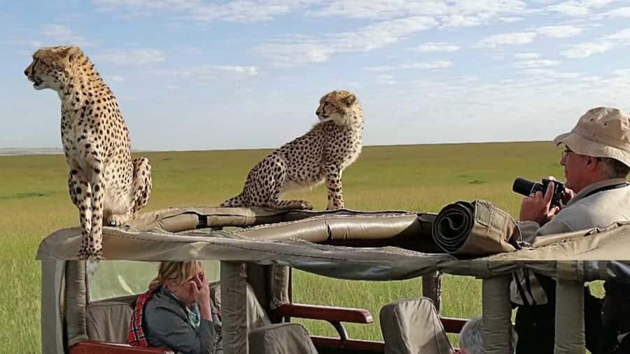 Nairobi: 4-Day Maasai Mara & Lake Nakuru Camping Safari - The real cost: $475 plus park fees