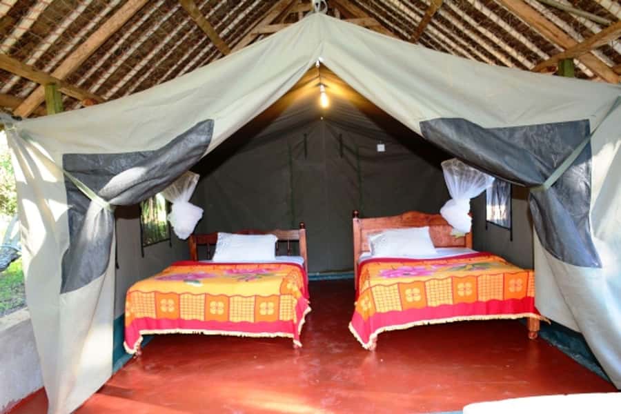 Nairobi: 4 Day Masai Mara and Lake Nakuru Camping Safari - White rhinos and pink flamingos at Lake Nakuru